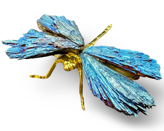 Blauwe Kyaniet Libelle – Symbool van Vrijheid en Innerlijke Harmonie