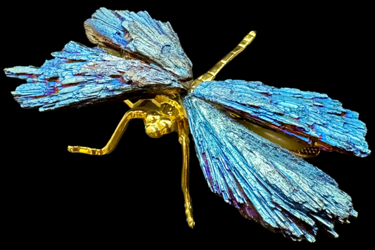 Blauwe Kyaniet Libelle – Symbool van Vrijheid en Innerlijke Harmonie